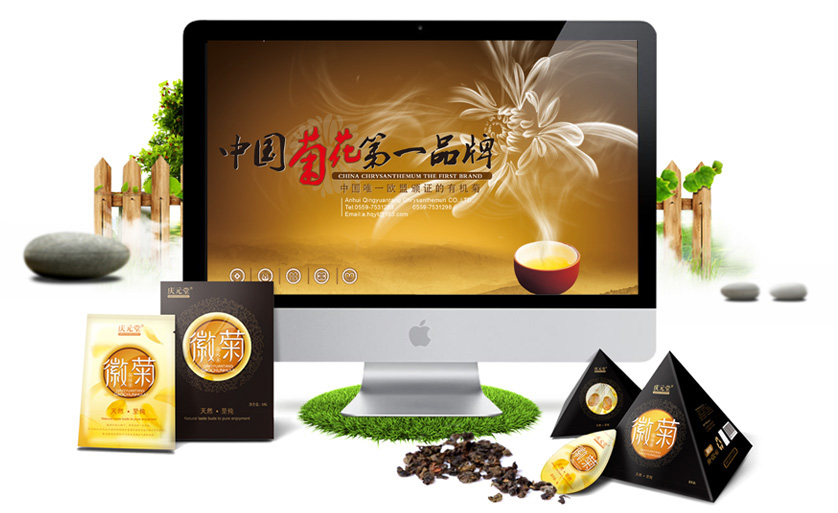 慶元堂菊花茶品牌策劃與包裝設(shè)計(jì)