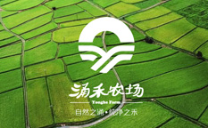 涌禾農場“自然之涌，純凈之禾”農業農產品品牌企業形象全案策劃設計