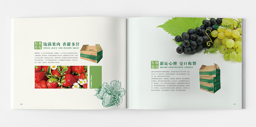 涌禾農場企業宣傳畫冊策劃設計-上海畫冊設計公司