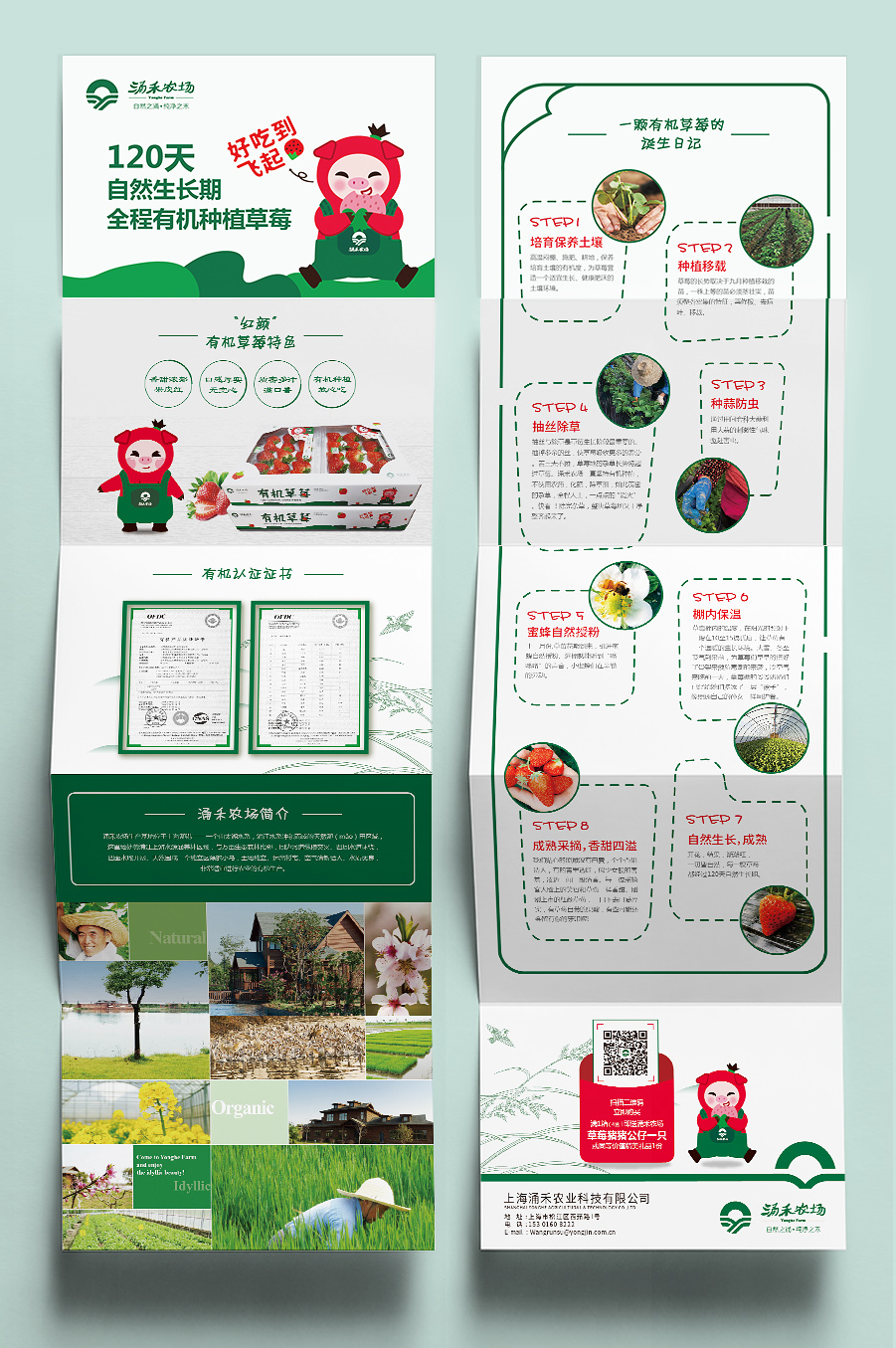 涌禾農(nóng)場(chǎng)有機(jī)草莓品牌全案策劃設(shè)計(jì)“草莓豬”IP吉祥物設(shè)計(jì)
