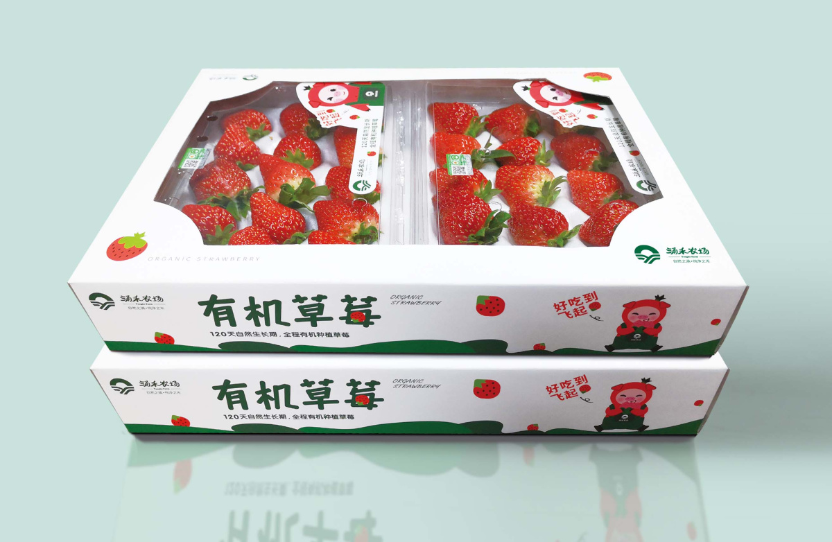 涌禾農(nóng)場(chǎng)有機(jī)草莓品牌全案策劃設(shè)計(jì)“草莓豬”IP吉祥物設(shè)計(jì)