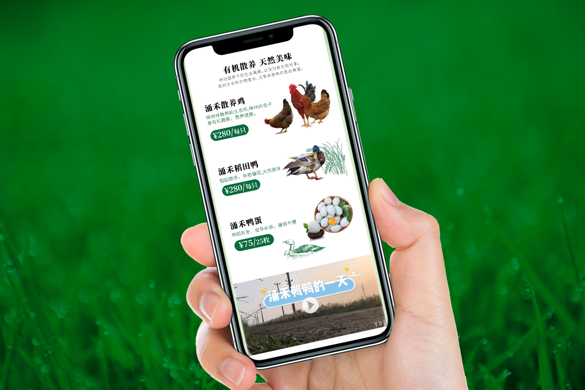 涌禾農場農產品有贊手機商城策劃設計