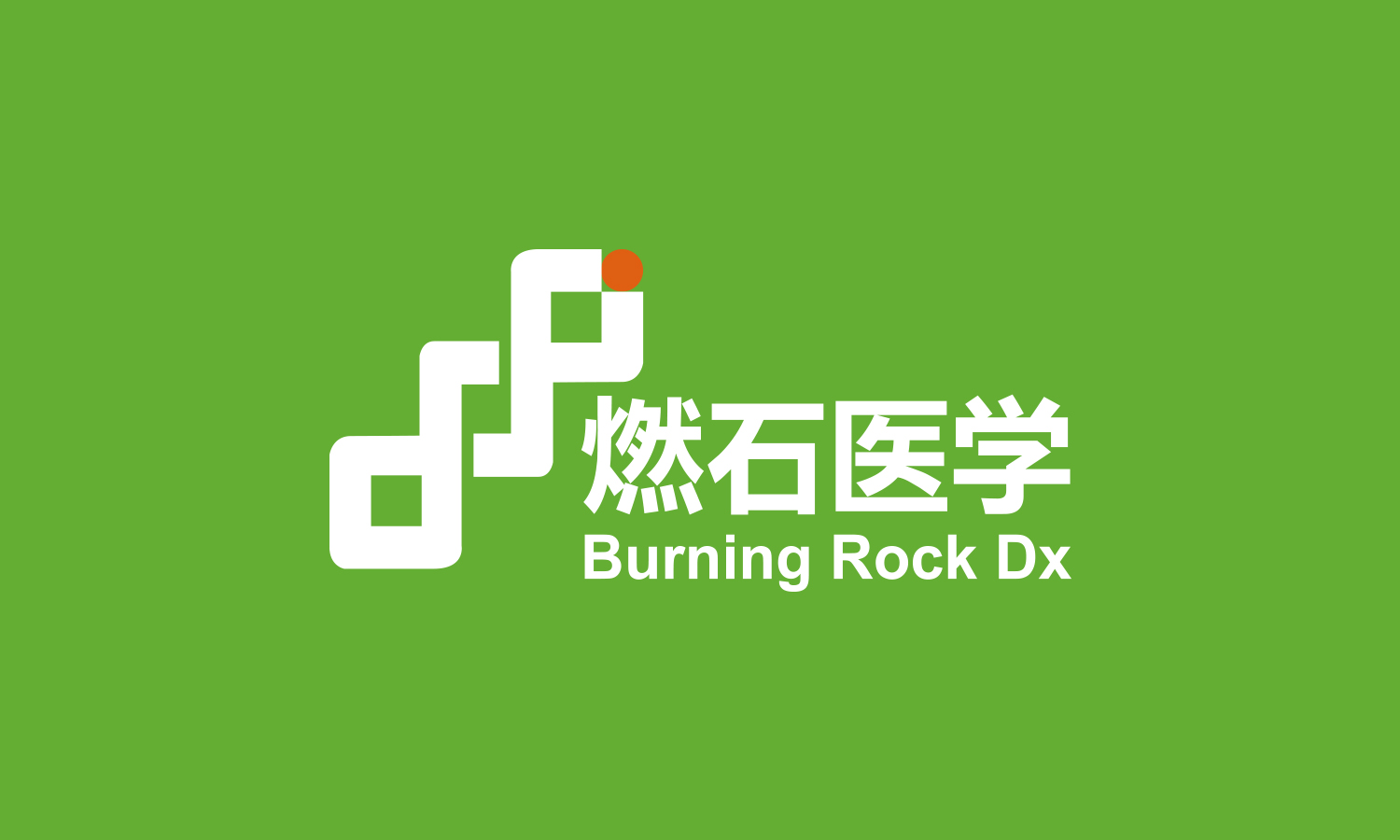 燃石醫學醫療品牌形象vi設計