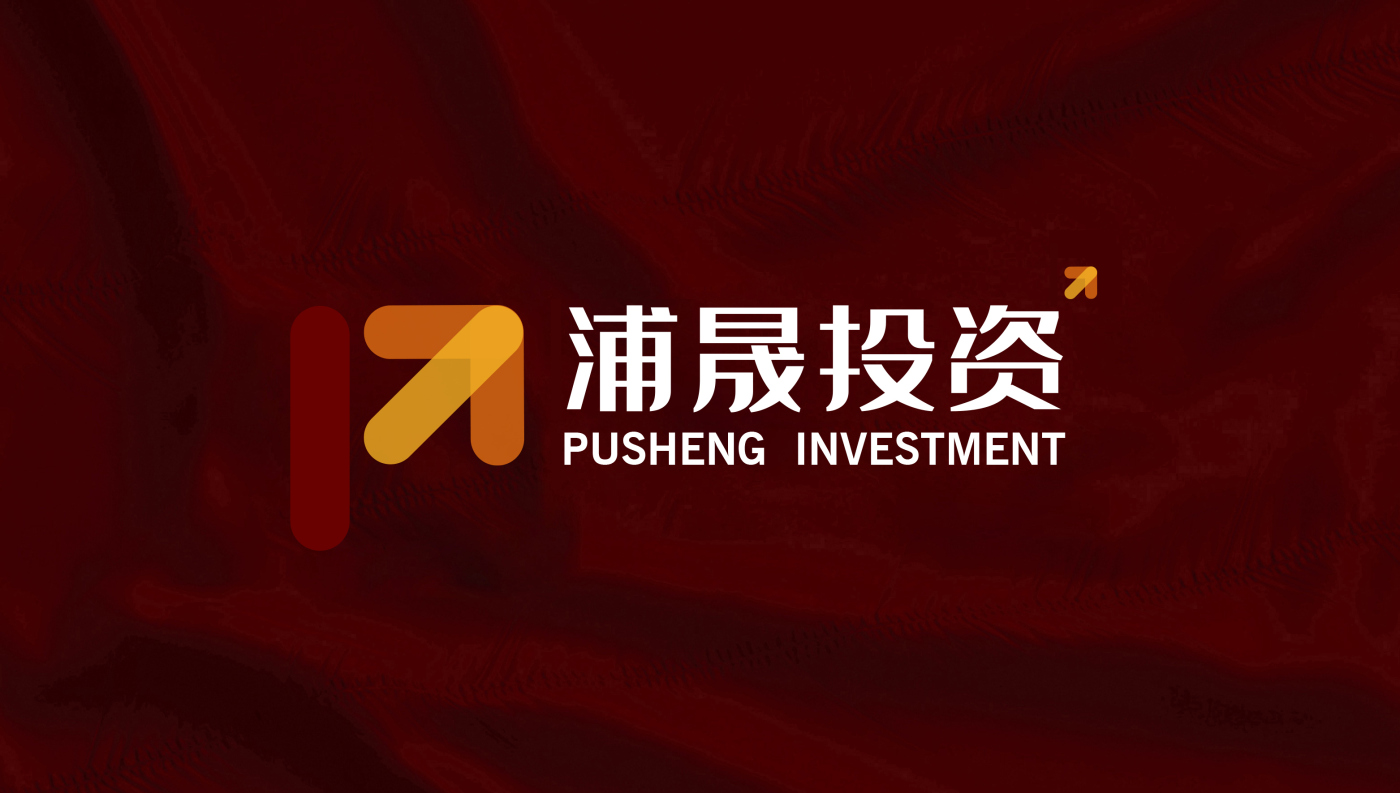 浦晟投資公司金融logo設計vi設計