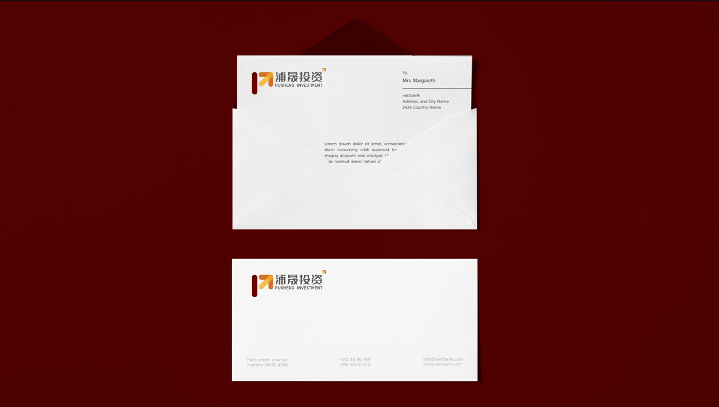 浦晟投資公司金融logo設計vi設計